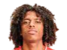 https://img.dazhetu.cn/img/football/player/135ad8787fd13961a93e165e79e736ff.png